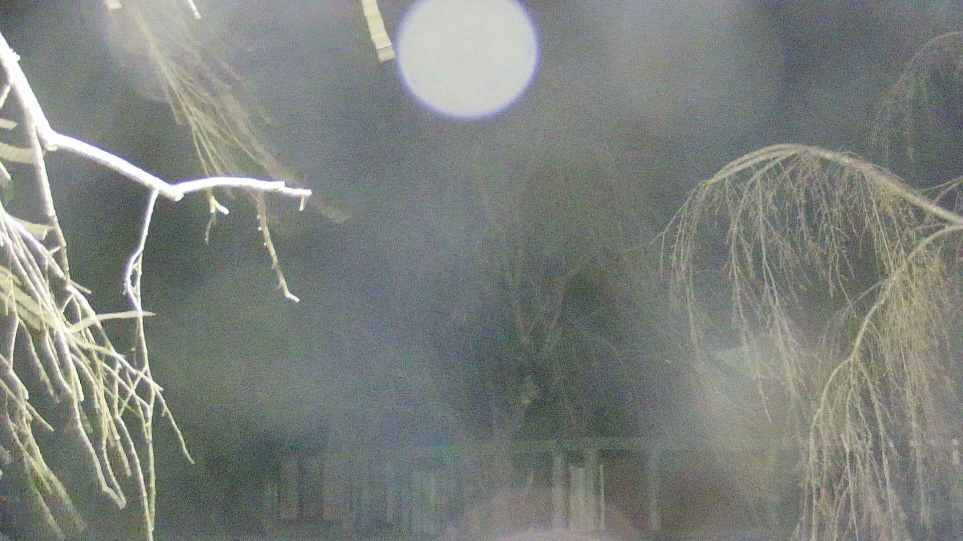 area2-20250413221106.jpg
