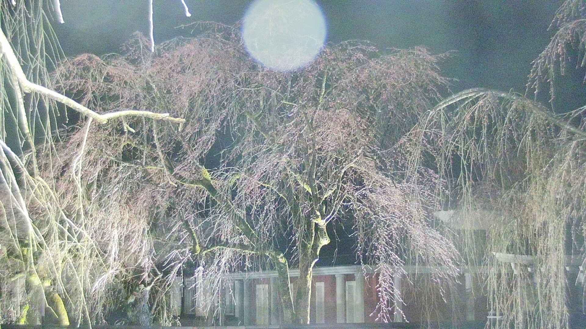 area2-20250415213107.jpg