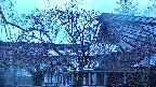 area2-20250416050105.jpg