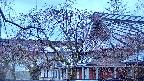 area2-20250416051106.jpg