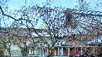 area2-20250416052106.jpg