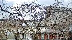 area2-20250416170107.jpg