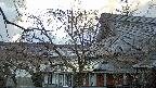 area2-20250416174106.jpg