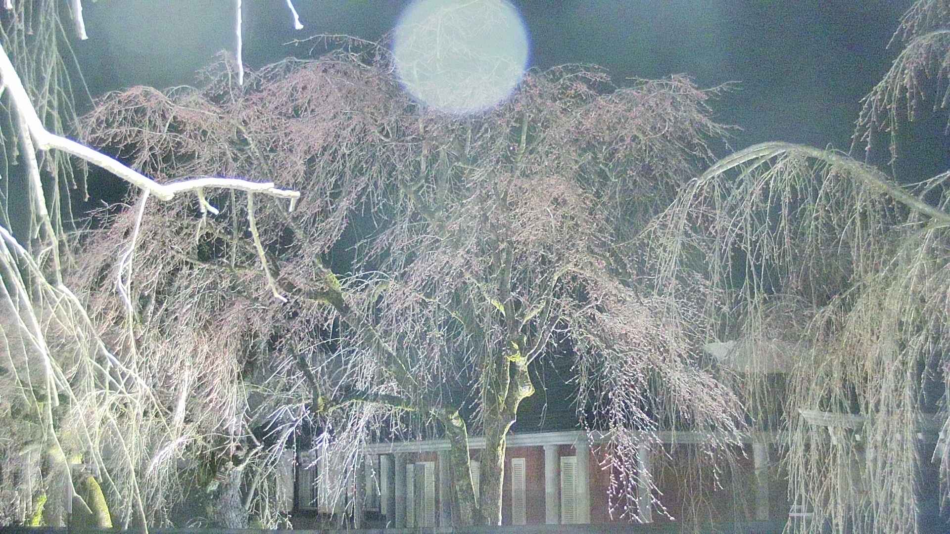 area2-20250416213106.jpg