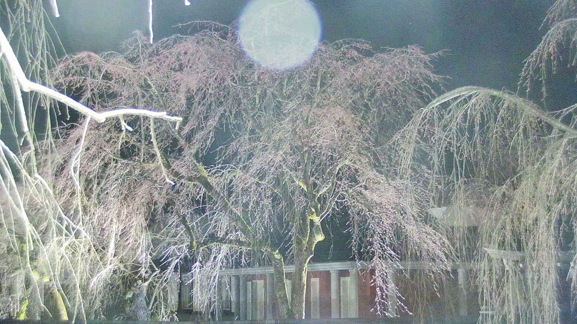 area2-20250416215106.jpg