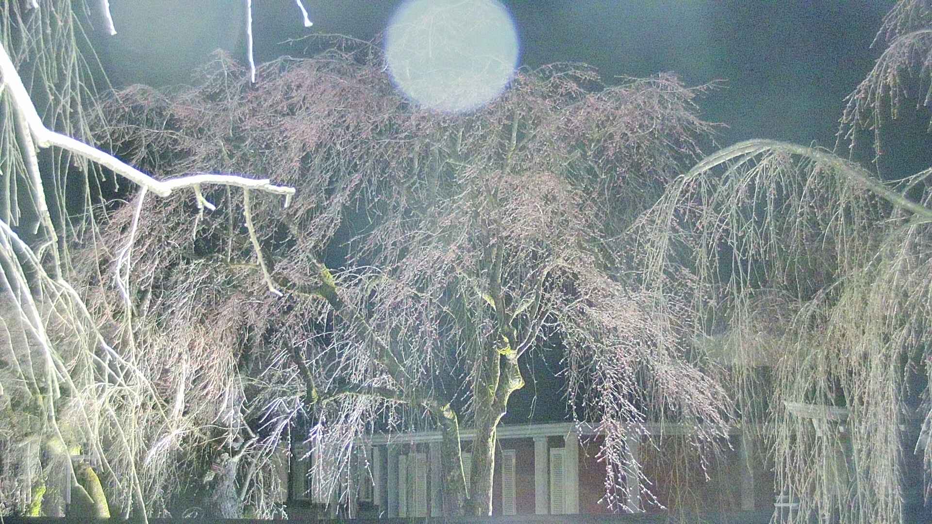 area2-20250416221106.jpg