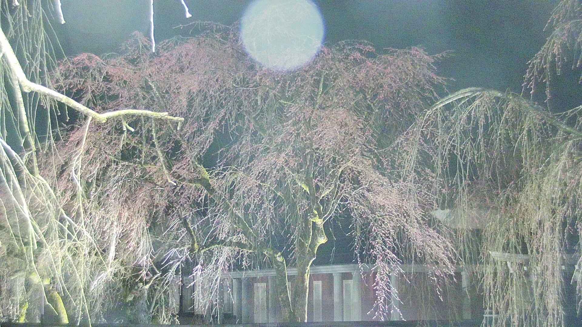 area2-20250417213108.jpg