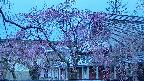 area2-20250420050108.jpg
