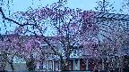 area2-20250420051106.jpg