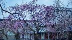 area2-20250420052105.jpg