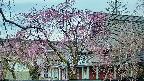 area2-20250420053106.jpg