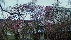 area2-20250420063107.jpg