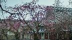 area2-20250420070106.jpg
