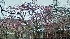 area2-20250420071106.jpg
