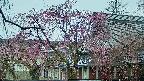 area2-20250420072106.jpg