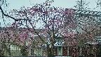 area2-20250420073106.jpg