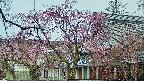 area2-20250420080107.jpg