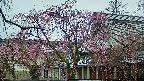 area2-20250420081107.jpg