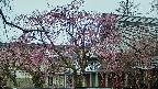 area2-20250420082106.jpg