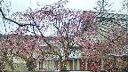 area2-20250420084106.jpg