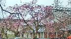 area2-20250420091105.jpg