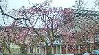 area2-20250420100105.jpg