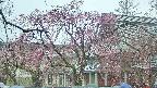 area2-20250420101105.jpg