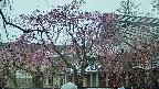 area2-20250420102106.jpg