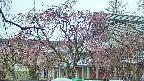 area2-20250420103106.jpg