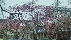 area2-20250420111105.jpg
