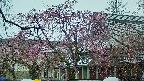 area2-20250420113105.jpg