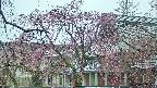 area2-20250420114107.jpg