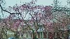 area2-20250420115107.jpg