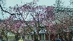 area2-20250420121107.jpg
