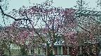 area2-20250420122107.jpg