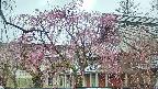 area2-20250420123107.jpg