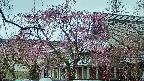 area2-20250420124106.jpg