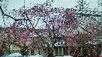 area2-20250420125107.jpg