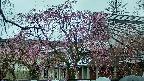 area2-20250420130106.jpg