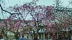 area2-20250420131107.jpg