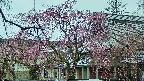 area2-20250420132106.jpg