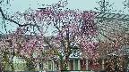 area2-20250420133107.jpg