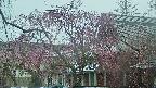 area2-20250420134106.jpg