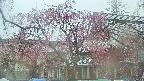 area2-20250420135108.jpg