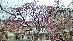 area2-20250420151107.jpg