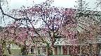 area2-20250420160107.jpg