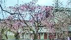 area2-20250420165106.jpg