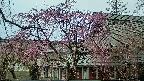 area2-20250420170107.jpg