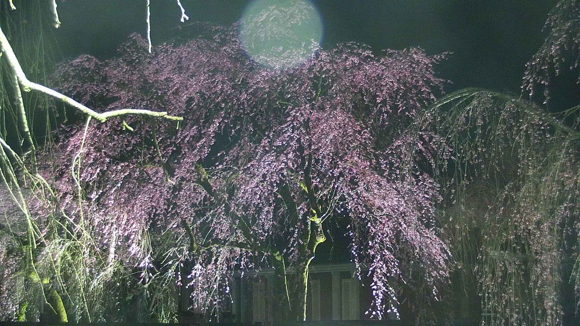 area2-20250420221107.jpg