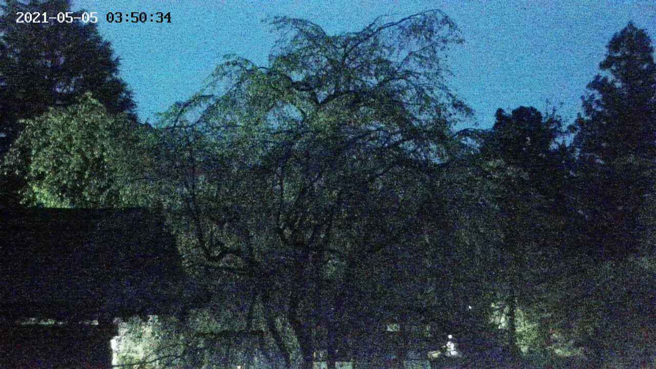 area3-20210505035036.jpg